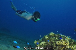 Young freediver approaches a coral rock by Daniel Poloha 